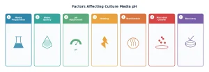 factors affecting culture media pH