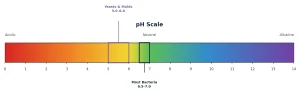 pH in Microbiological Culture Media scale diagram