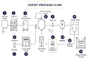 PUPSIT in pharmaceutical manufacturing process 