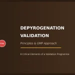 Depyrogenation Validation