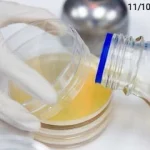 Culture media dehydration showing dry and cracked agar plates in a pharmaceutical microbiology laboratory