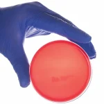 Contact plates and sterile swabs used for surface monitoring in a pharmaceutical microbiology laboratory.
