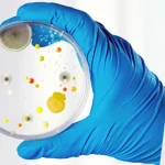 Neutralization of antimicrobial properties in pharmaceutical microbiological testing
