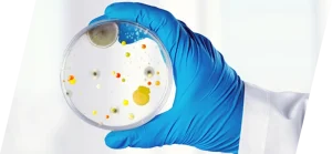 Neutralization of antimicrobial properties in pharmaceutical microbiological testing