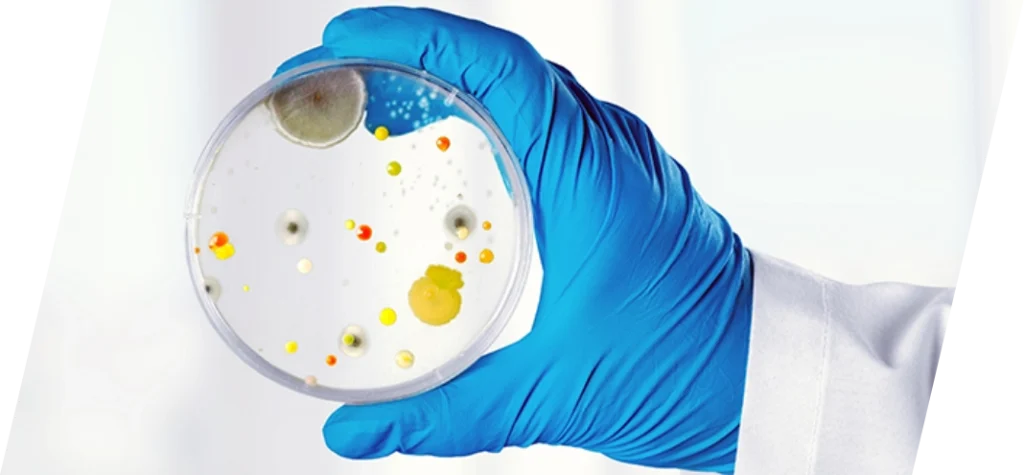 Neutralization of antimicrobial properties in pharmaceutical microbiological testing